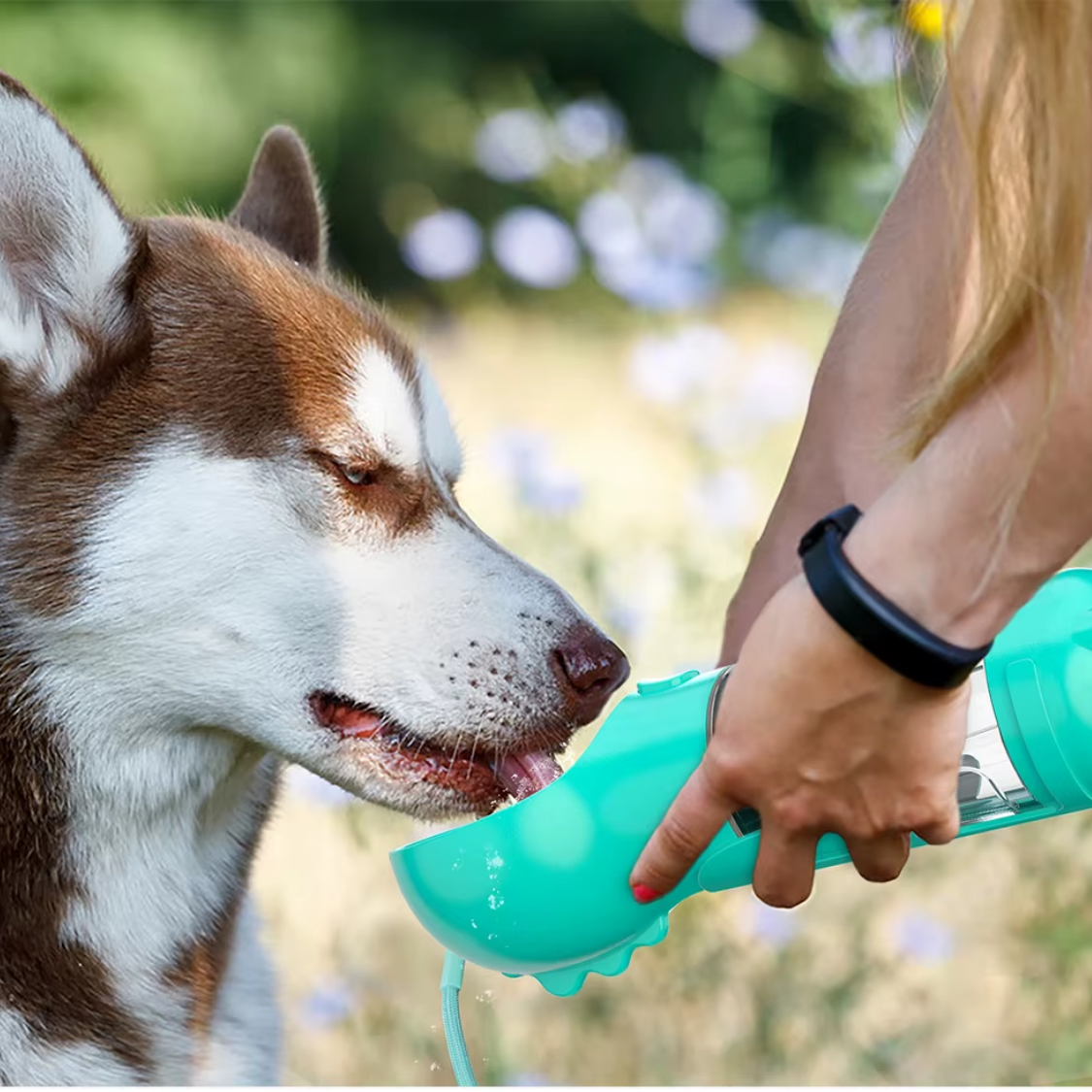 Doggya - Gourde polyvalente pour chiens