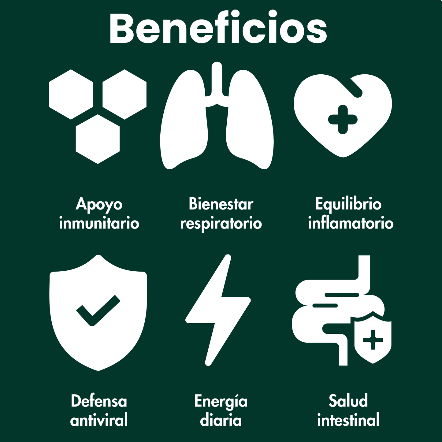 Aceite de Orégano en Cápsulas Blandas