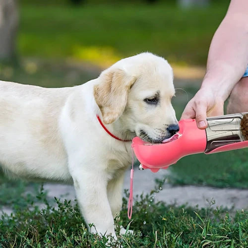 Doggya - Gourde polyvalente pour chiens