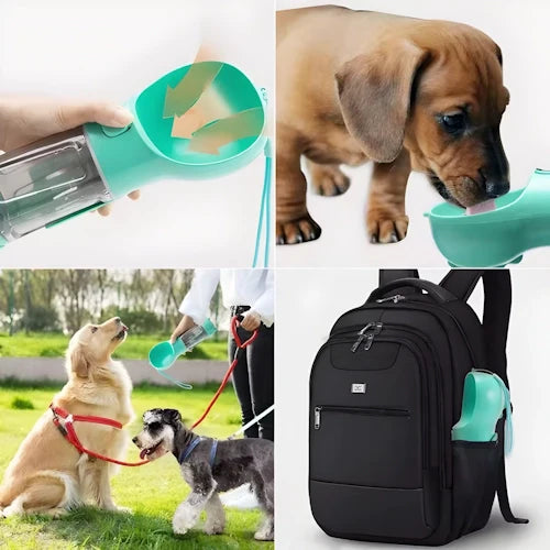Doggya - Gourde polyvalente pour chiens